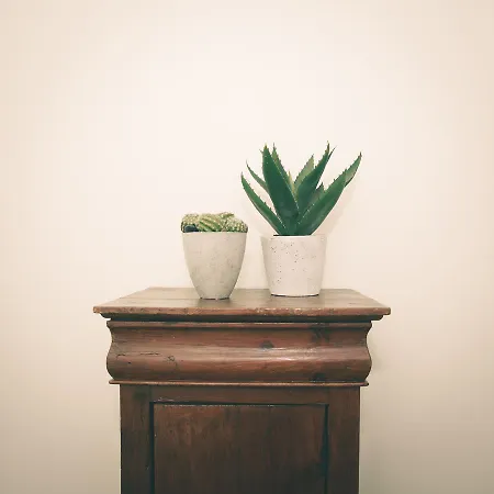 Bed and Breakfast Al Foro Annonario 4*